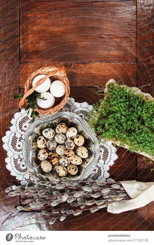 Osterzusammensetzung aus Eiern, Kresse und Kätzchen auf Holztisch Dekoration & Verzierung Tisch Ostern Frühling Papier Metall natürlich braun grün Tradition