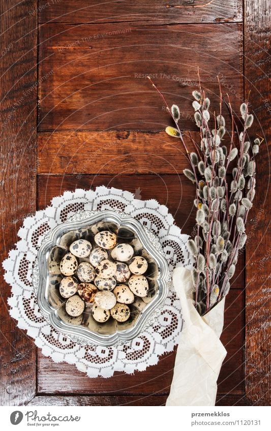 Osterzusammensetzung aus Eiern und Kätzchen auf Holztisch Dekoration & Verzierung Tisch Ostern Frühling Papier Metall natürlich braun grün Tradition rohweiß