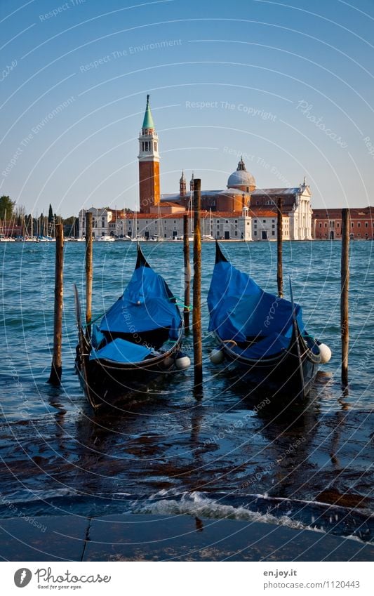 zwei Ferien & Urlaub & Reisen Tourismus Ausflug Sightseeing Städtereise Sommer Sommerurlaub Wolkenloser Himmel Schönes Wetter Insel San Giorgio Maggiore Lagune