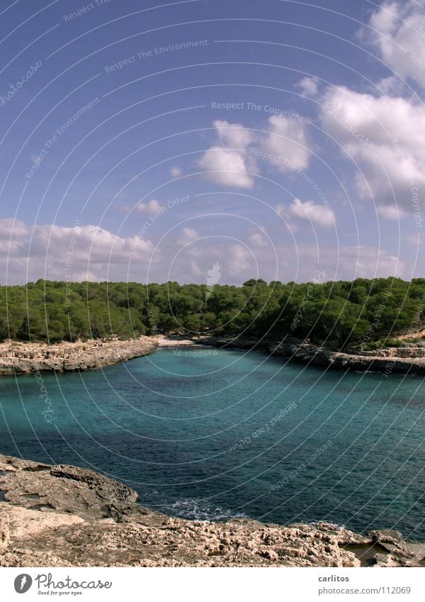 Ich will Urlaub! Lust Luft beweglich genießen Meer Wolken Physik Ferien & Urlaub & Reisen türkis Wald Baum See Strand tauchen Algen Gischt Schnorcheln Mallorca