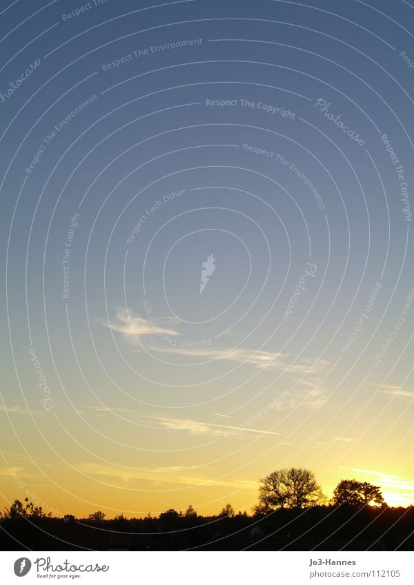 Platz zum Denken Sonnenuntergang gelb Wolken Altokumulus floccus fein zart Luft Horizont Sonnenaufgang Morgen spät Nacht Abend glänzend Niedergang Baum Wald