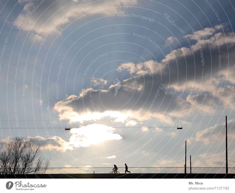 tempomacher Lifestyle Freizeit & Hobby Ausflug Sport Fitness Sport-Training Joggen Fahrrad Mensch 2 Umwelt Himmel Wolken Klima Schönes Wetter Baum Brücke