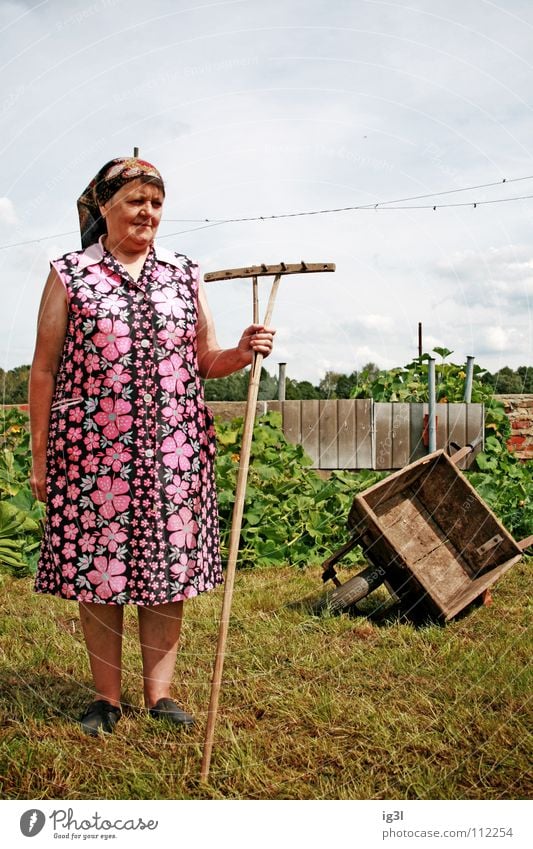 was bleibt? Frau Großmutter alt Wachstum Ruhestand Landwirt Bauernhof Tier Landwirtschaft Ernährung Zerealien Vitamin Gras Stroh trocken trocknen edel