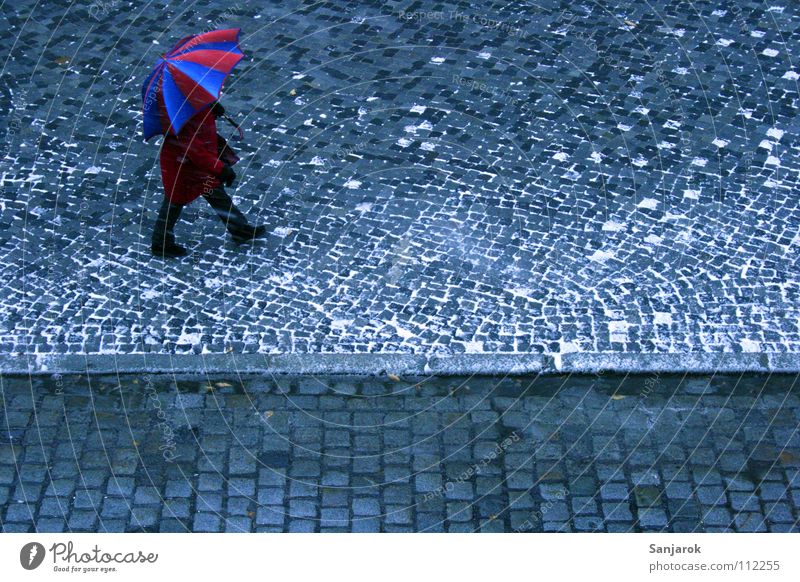 Glühwein, ich komme Stadt Winter Herbst Frau Regenschirm Schneeschmelze kalt frieren gehen kuschlig Physik mehrfarbig November Dezember Januar Februar rot grau