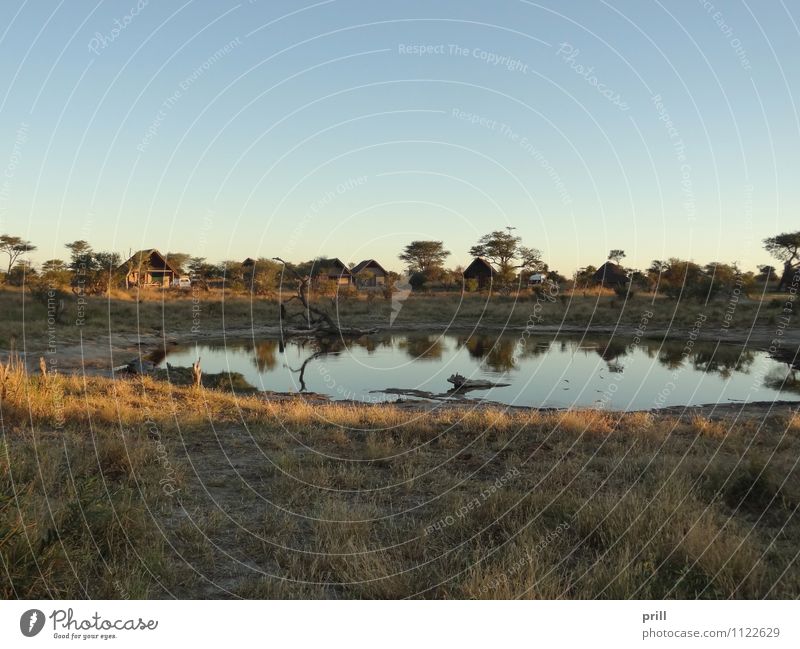 Elephant Lodge in Botswana Safari Pflanze Wasser Baum Gras Sträucher Teich See Hütte exotisch Abenteuer Umwelt elephant lodge Wasserstelle Afrika