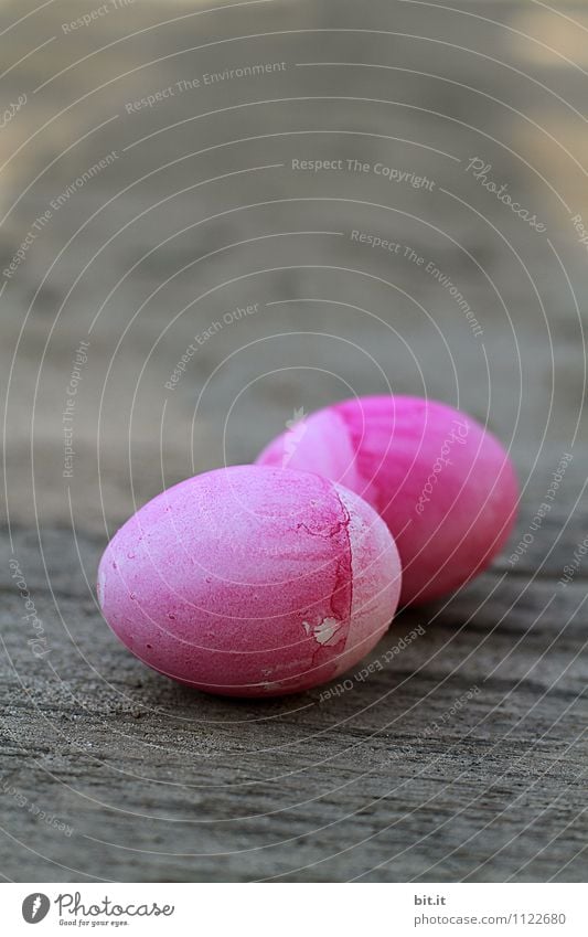 Frohe Ostern... Lebensmittel Ernährung Picknick Bioprodukte Feste & Feiern Essen Kindergarten Küche Gastronomie Frühling Dekoration & Verzierung Zeichen rosa