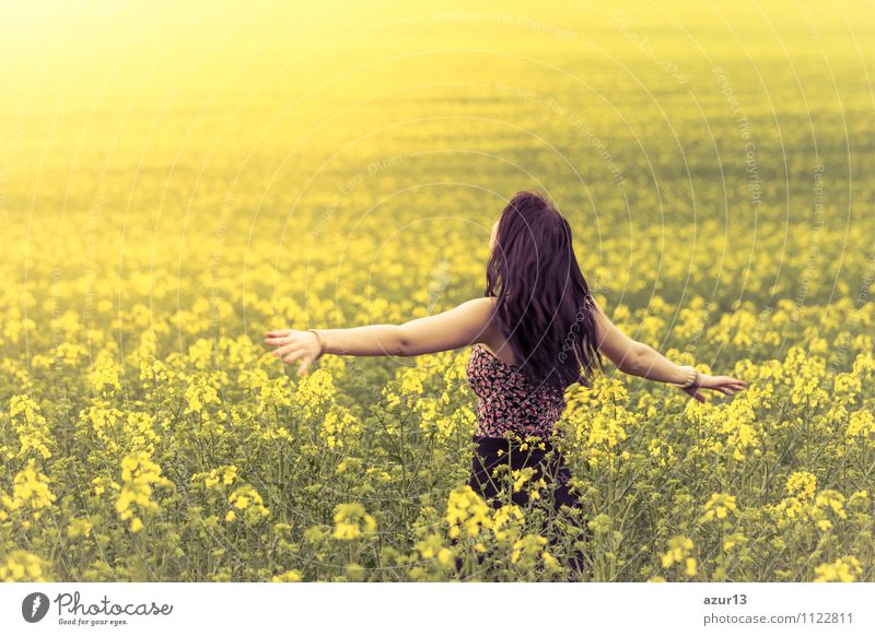 Schöne junge Frau im Sommer auf der Wiese von hinten mit ausgestreckten Armen. Das hübsche Mädchen steht in einem weiten Feld voller Raps in der Natur. Symbolisiert Glück, Gesundheit in Balance und Freiheit voller Lebensfreude gegen Burnout und Stress.