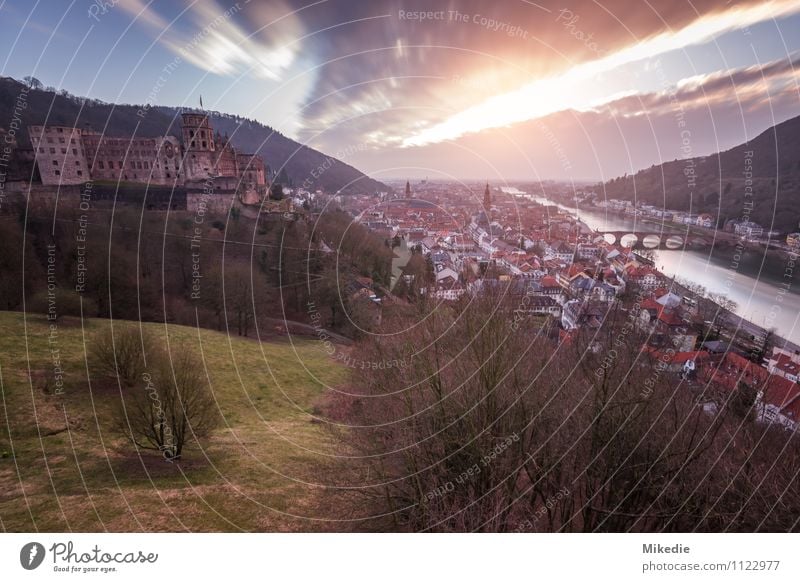 Heidelberg Natur Pflanze Wasser Himmel Wolken Sonne Sonnenaufgang Sonnenuntergang Sonnenlicht Baum Gras Hügel Fluss Kleinstadt Stadt Altstadt Haus