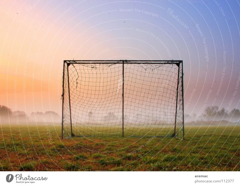 Nach dem Spiel ist vor dem Spiel Spielen Fußballplatz Wiese Gras grün Nebel Stimmung Sonnenaufgang Sport Herbst Freizeit & Hobby Aktion Bolzplatz treten Morgen