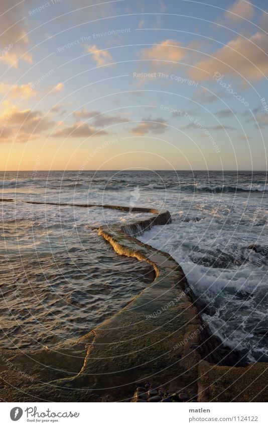 Seeschlange Landschaft Wasser Himmel Wolken Horizont Sonnenaufgang Sonnenuntergang Frühling Wetter Schönes Wetter Wellen Küste Meer Menschenleer Mauer Wand blau