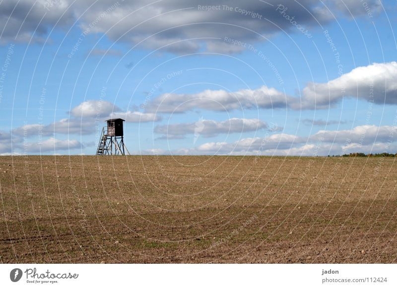 Strategischer Punkt Aussicht Hochsitz Wiese Feld Wolken Einsamkeit weiß Horizont ruhig Hintergrundbild Brandenburg Wohnung Raum sehr wenige Himmel Turm Jagd