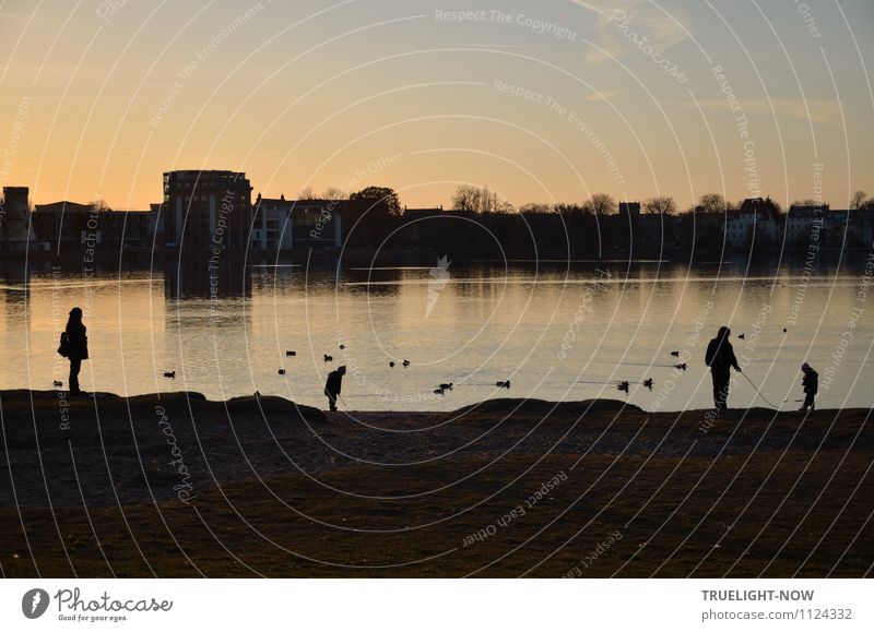 Abendfrieden... harmonisch Spielen Mensch maskulin feminin Eltern Erwachsene Geschwister Familie & Verwandtschaft Sand Luft Wasser Himmel Sonnenaufgang