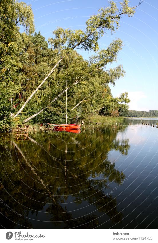 der spiegel deiner selbst Ferien & Urlaub & Reisen Ausflug Natur Landschaft Wasser Wolkenloser Himmel Frühling Sommer Herbst Schönes Wetter Baum Sträucher