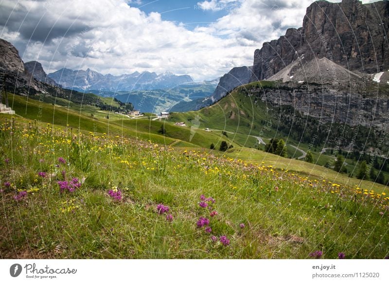 zwischendrin Ferien & Urlaub & Reisen Tourismus Abenteuer Sommerurlaub Berge u. Gebirge wandern Natur Landschaft Himmel Wolken Frühling Wetter Blumenwiese