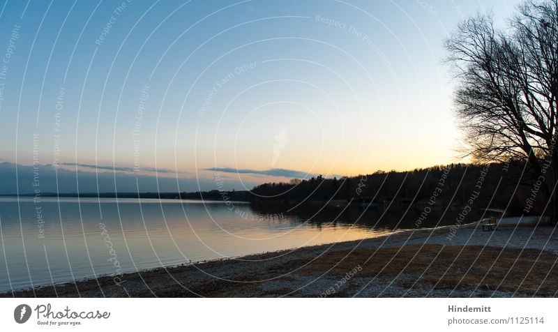 Seensucht mit Baum und Bank Umwelt Natur Landschaft Himmel Wolken Horizont Winter Schönes Wetter Wald Seeufer Strand Ammersee Stein Sand blau gold orange Liebe