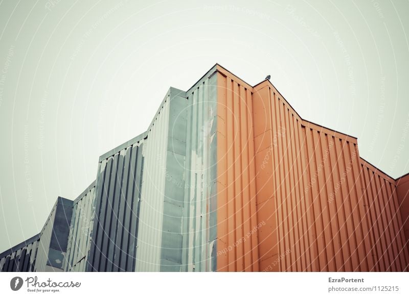 alles nur Fassade Himmel Wolkenloser Himmel Stadt Haus Einfamilienhaus Industrieanlage Fabrik Bauwerk Gebäude Architektur Mauer Wand Tier Vogel 1 Metall Stahl