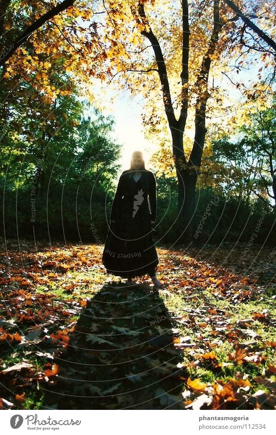 Waldgeist Herbst Hexe Blatt grün rot Frau Kleid Fee Schatten Farbe mehrfarbig