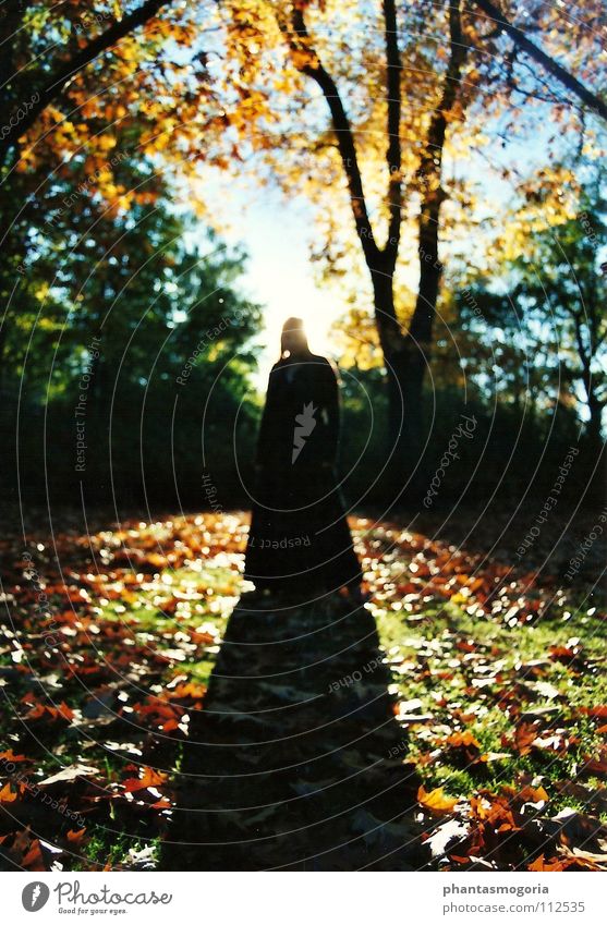 Waldgeist Nummer 2 Sonne Frau Erwachsene 1 Mensch Jugendkultur Subkultur Natur Sonnenaufgang Sonnenuntergang Herbst Blatt Park Rock Kleid Erholung stehen