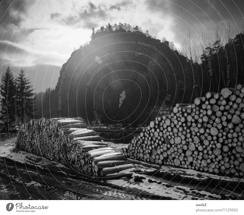 Im Zittauer Gebirge Umwelt Natur Landschaft Pflanze Himmel Wolken Winter Klima Wetter Schönes Wetter Schnee Baum Wald Felsen Gipfel Oybin Sachsen Deutschland