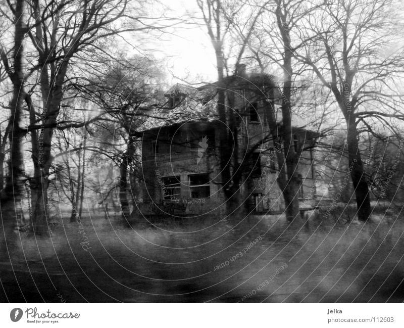 abgewrackt Winter Haus Nebel Regen Baum Wald Gebäude Architektur dunkel gruselig kalt Einsamkeit Verfall schäbig Leipzig Waldrand Ödland Villa schädlich