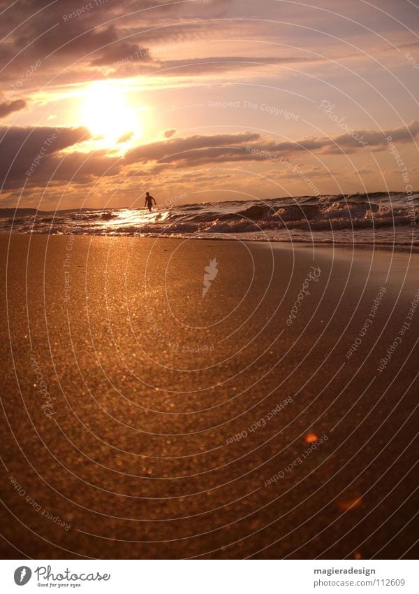 Strandläufer Meer Physik Abenddämmerung Sonnenuntergang rot gelb Wolken Türkei Istanbul nass Erholung Reflexion & Spiegelung Sand Läufer Wärme orange