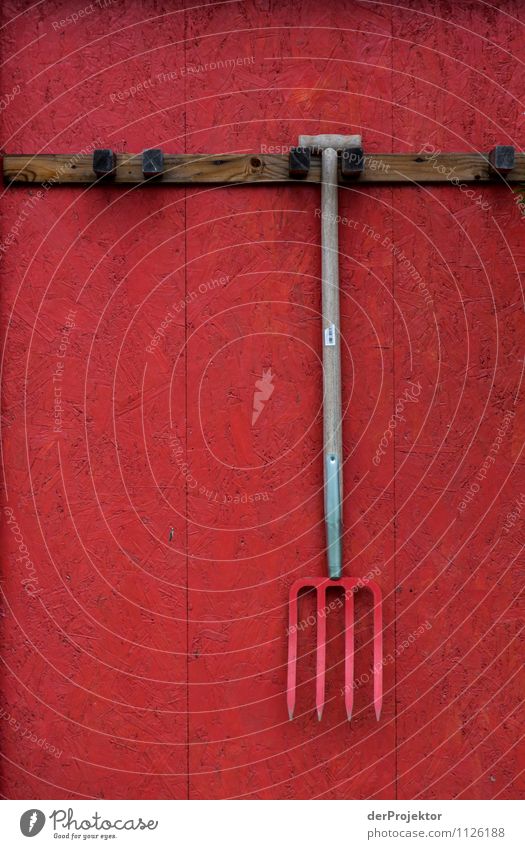 Rot auf Rot. Gartenarbeit Arbeitsplatz Landwirtschaft Forstwirtschaft Dorf Mauer Wand Arbeit & Erwerbstätigkeit wählen alt ästhetisch authentisch Gefühle