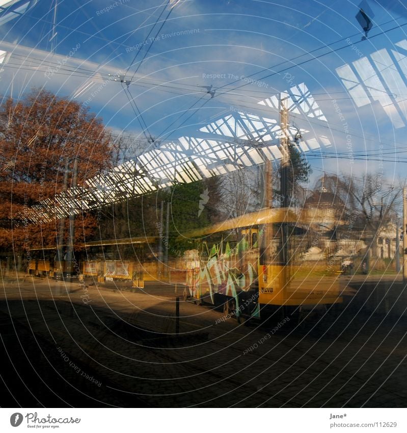 I love einfachheit braun Licht Reflexion & Spiegelung Glasscheibe Fenster diagonal schwarz Baum Himmel Herbst Straßenbahn Friedhof Dresden graphisch Quadrat