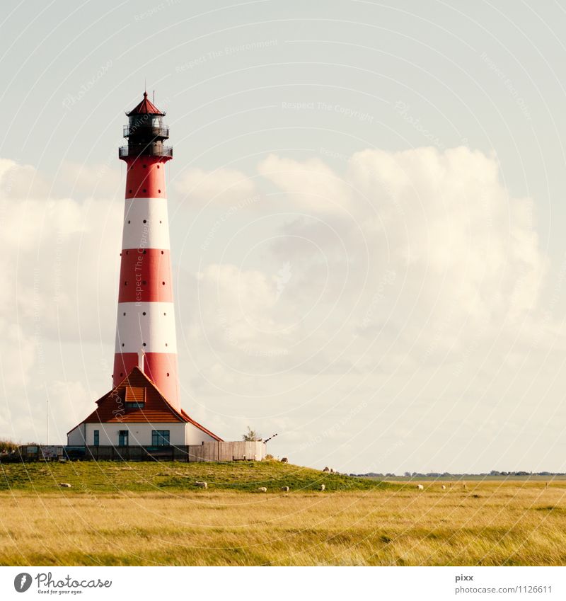 ringelpin Ferien & Urlaub & Reisen Tourismus Ausflug Freiheit Sommerurlaub Haus Arbeitsplatz Umwelt Natur Wolken Schönes Wetter Gras Feld Küste Nordsee