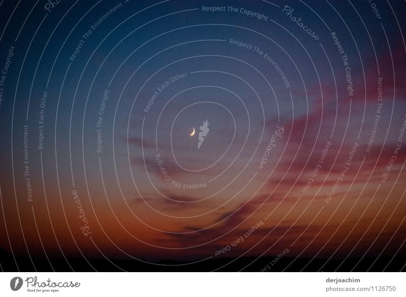 Mondaufgang im Outback Northern Territory. Australien.Mit wunderschönen Schleierwolken. Freude ruhig Freizeit & Hobby Ausflug Umwelt Nachthimmel Sonnenaufgang