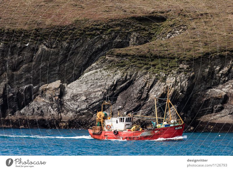 Rauhbein Fisch Meeresfrüchte Krabbe Krebstier Ernährung Sushi Delikatesse Arbeit & Erwerbstätigkeit Fischereiwirtschaft Fischerboot Wasser Felsen Wellen Küste