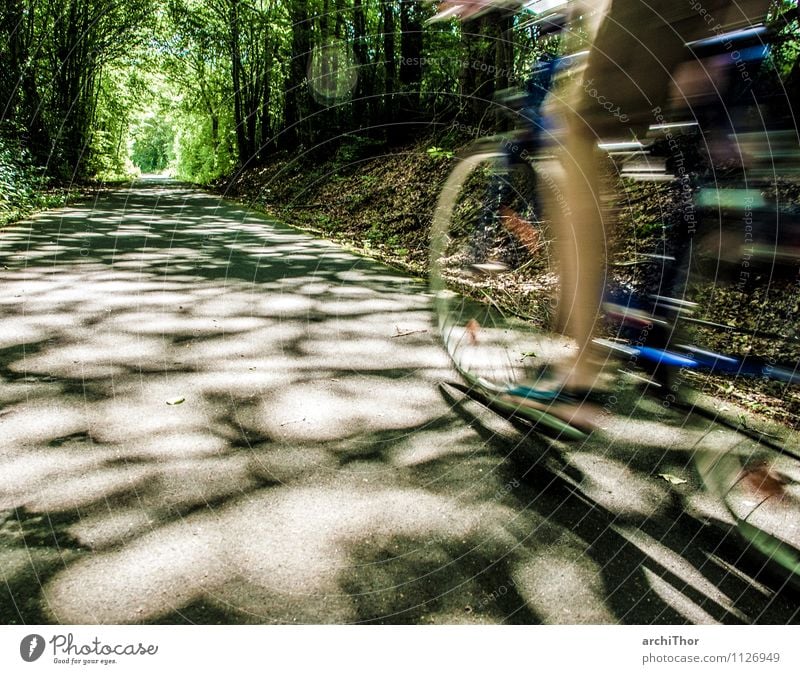 Rückenwind Sport Fahrradfahren Fahrradtour Ausflug Sommer Fitness Sport-Training Mensch Beine Fuß 1 Natur Baum Wald Diät Bewegung natürlich Geschwindigkeit blau