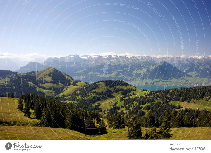 Rigi VI Umwelt Natur Landschaft Pflanze Luft Wasser Himmel Wolkenloser Himmel Sonne Sonnenlicht Sommer Herbst Klima Klimawandel Schönes Wetter Wärme Baum Gras