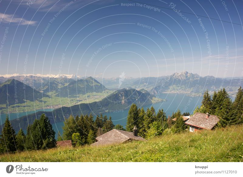 Rigi Umwelt Natur Landschaft Pflanze Urelemente Luft Wasser Himmel Wolkenloser Himmel Horizont Sonne Sonnenlicht Sommer Klima Schönes Wetter Nebel Wärme Baum