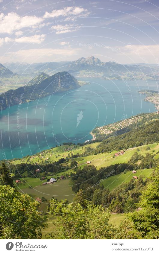 Vierwaldstättersee Umwelt Natur Landschaft Pflanze Urelemente Luft Wasser Himmel Wolken Horizont Sonne Sonnenlicht Frühling Sommer Klima Klimawandel Wetter