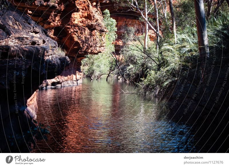 Ganzjähriges Wasserführenden BillabongsÜber.Überhängent einmehrer rot Felsen. Umrahnt von Büschen. Das Touristenziel im Red Centre- Garten Eden.Kings Canyon. Outback Northern Territory. Australien.