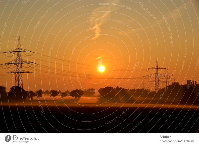 Stromtrasse im Morgennebel, bei Sonnenaufgang Umwelt Natur Sonnenuntergang Sommer Schönes Wetter Nebel Baum Feld leuchten authentisch orange Optimismus Romantik