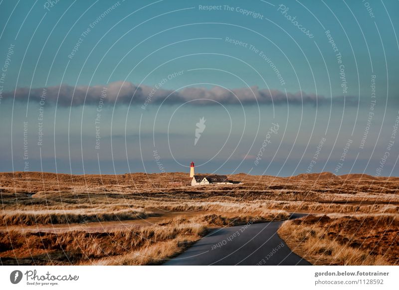 Sylt, am Ellenbogen Umwelt Natur Landschaft Pflanze Himmel Wolken Herbst Gras Küste Meer Insel Menschenleer Leuchtturm Straße Wege & Pfade blau braun gelb