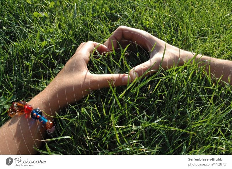 Wie wär's ohne deine liebe Liebe? verrückt Sommertag Vertrauen Zusammensein Gras Armband Park Wiese grün groß mehrfarbig Mann Frau Leo Jule Leben hell Herz