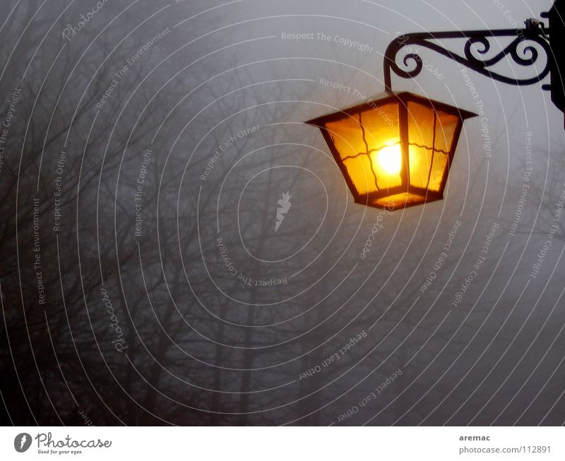 Heimleuchte Lampe Nebel Heidelberg Stimmung Licht Vertrauen Herbst Königstuhl Landschaft Abend