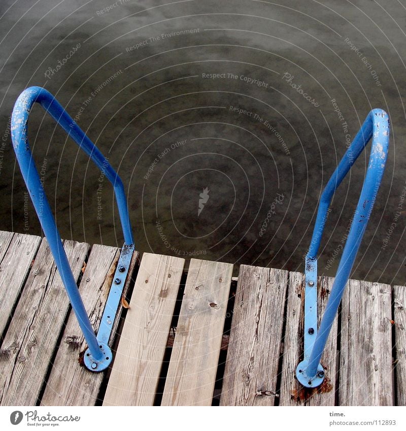 8° - Wollnse nich? Farbfoto Gedeckte Farben Außenaufnahme Textfreiraum oben Vogelperspektive Strand Leiter Wasser Herbst Küste Teich See Wege & Pfade Lack Holz