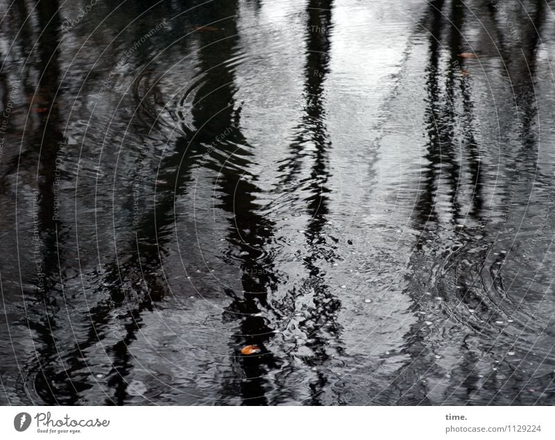 Hamburger Vorfrühling Umwelt Natur Landschaft Wasser Wassertropfen schlechtes Wetter Baum Blatt Pfütze kalt nass Traurigkeit Sorge Trauer Müdigkeit Unlust