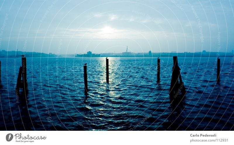 Pfahlsitzer Meer Kieler Förde Wolken Gegenlicht Wellen Horizont Reflexion & Spiegelung kalt Morgen Einsamkeit dunkel maritim Himmel Herbst Pfosten Möven Wasser