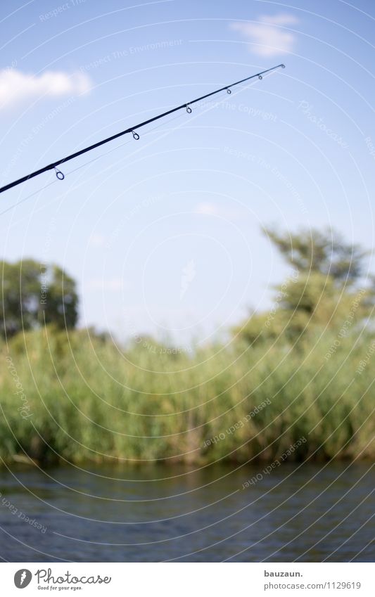 fischt. Freizeit & Hobby Angeln Ferien & Urlaub & Reisen Ausflug Abenteuer Safari Expedition Sommer Sonne Umwelt Natur Landschaft Wasser Himmel Wetter