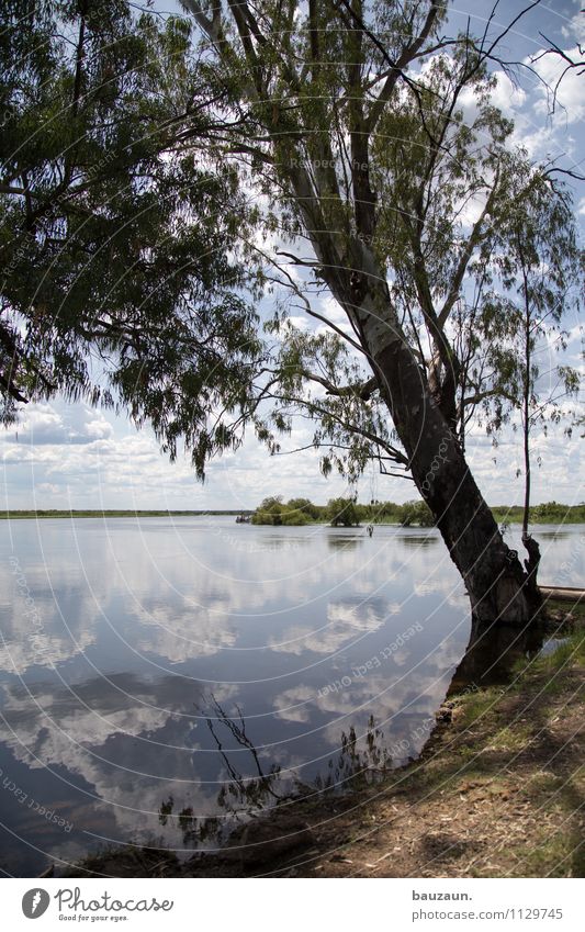 okavango. Ferien & Urlaub & Reisen Tourismus Ausflug Abenteuer Ferne Freiheit Sightseeing Safari Expedition Umwelt Natur Landschaft Wasser Himmel Wolken Sonne