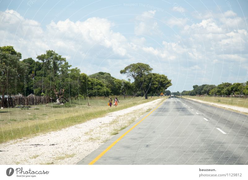 linksverkehr. Ferien & Urlaub & Reisen Tourismus Ferne Sommer Mensch Natur Landschaft Erde Himmel Wolken Schönes Wetter Baum Gras Sträucher Caprivi Namibia