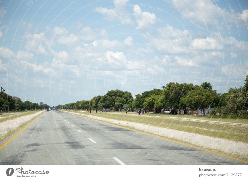 rechtsverkehr. Ferien & Urlaub & Reisen Tourismus Ausflug Ferne Mensch Umwelt Natur Landschaft Himmel Wolken Sommer Schönes Wetter Baum Gras Sträucher Caprivi