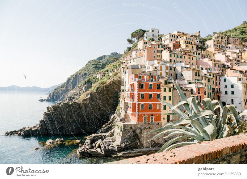 Cinque Terre Zufriedenheit Sinnesorgane Erholung Ferien & Urlaub & Reisen Tourismus Ausflug Abenteuer Ferne Sightseeing Städtereise Kreuzfahrt Sommer