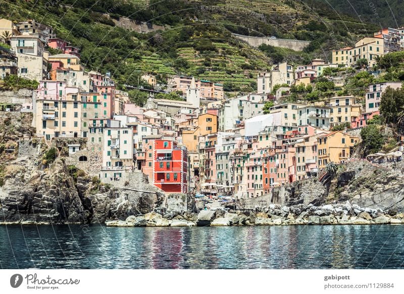 Cinque Terre Erholung ruhig Duft Ferien & Urlaub & Reisen Tourismus Ausflug Abenteuer Ferne Sightseeing Kreuzfahrt Wasser Sommer Schönes Wetter Hügel Küste