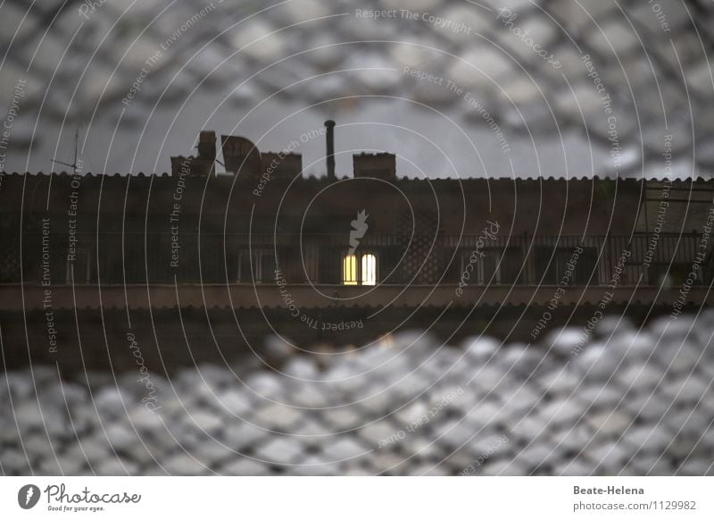 Römische Reflektionen I Städtereise alt braun Rom Pfütze Reflexion & Spiegelung Kopfsteinpflaster Autofenster Beleuchtung Dämmerung Lichtschein Wohnhochhaus