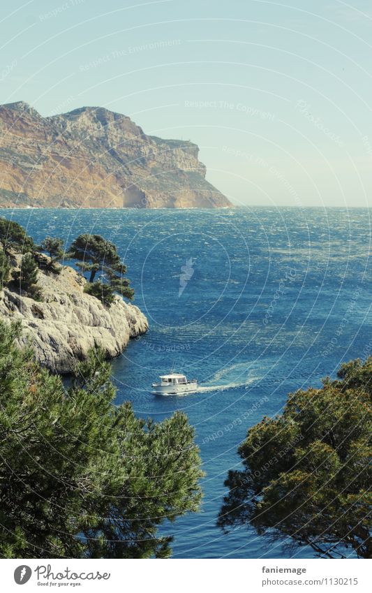 Calanques de Cassis Sommerurlaub Meer Umwelt Natur Urelemente Wasser Himmel Wolkenloser Himmel Schönes Wetter Baum Felsen Berge u. Gebirge Küste Bucht